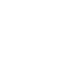 Популярные